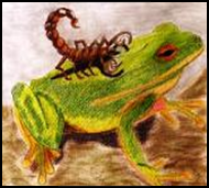 frog-and-scorpion-sm.jpg