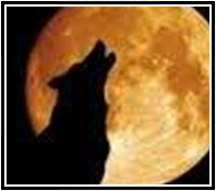 howling_at_the_moon.jpg