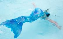 mermaid-sm.jpg