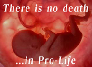 no-death-in-pro-life.PNG