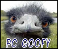 pc-goofiness.png