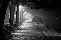 the-dark-side-of-life.jpg