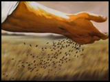 the sower